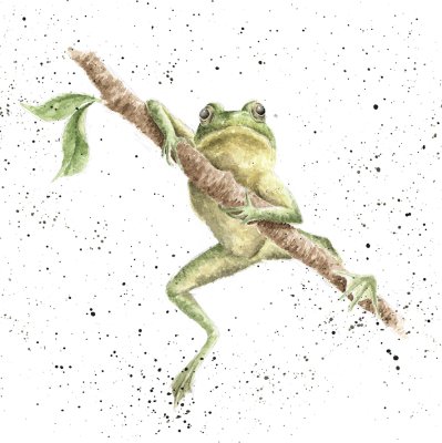'Handsome Prince' frog artwork print