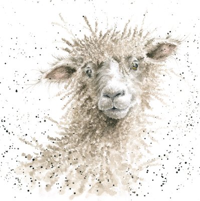 'Ewe' sheep artwork print