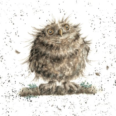 'Where You Fly' owl artwork print