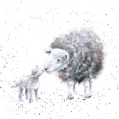 'Little Lamb' sheep artwork print