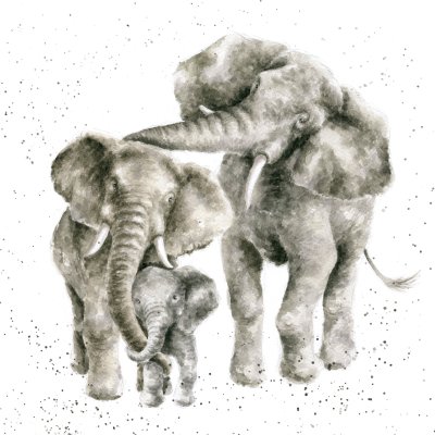 'Packed Your Trunks' elephant artwork print