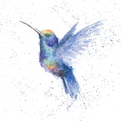 'Rainbow' hummingbird artwork print