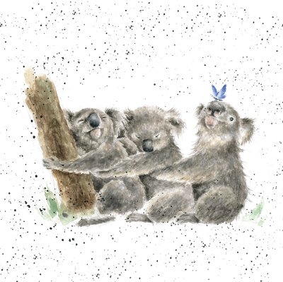 'Three of a Kind' koala artwork print