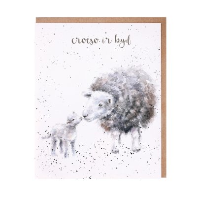 Sheep Welsh new baby card