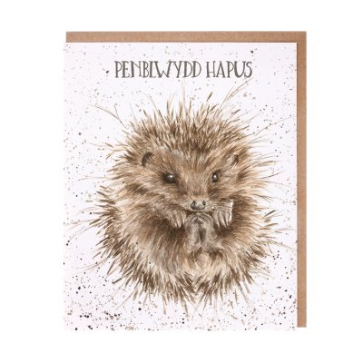 Hedgehog Welsh Birthday card