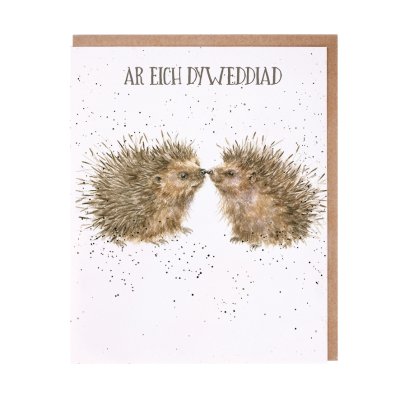 Hedgehog Welsh engagement card