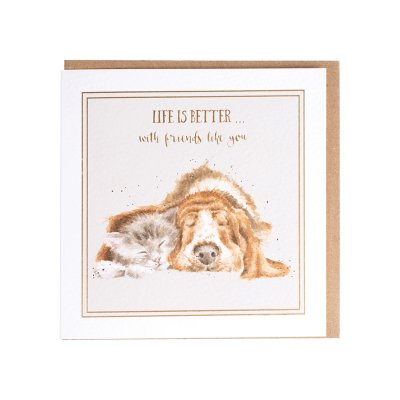 Life is better with friends like you dog and cat greeting card