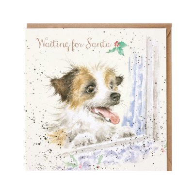 Terrier dog looking out a window Christmas card