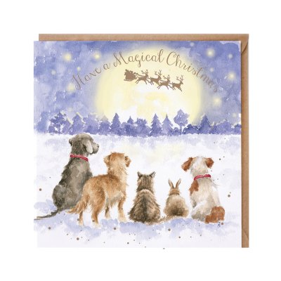 Dog, cat and rabbit staring at a night sky Christmas card