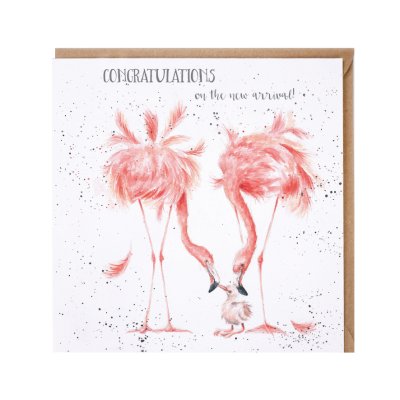 Flamingo greeting card