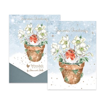 Robin in a plant pot of hellebores illustrated Christmas card pack