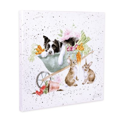Sleeping on the job Board Collie and rabbit canvas print