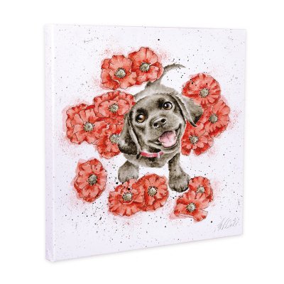 Poppy Love Labrador canvas print