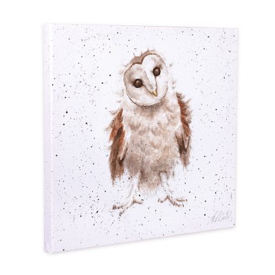 Owl canvas print