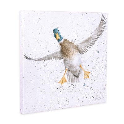 'The Crash Landing' Duck Canvas Print