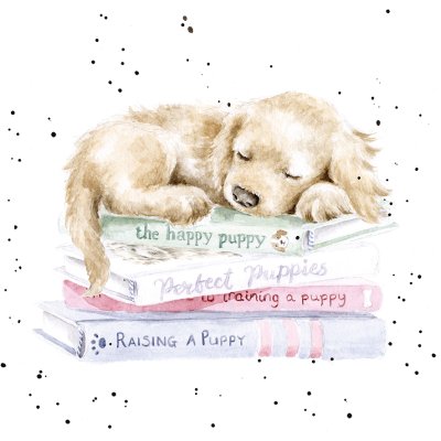 'A Pup's Life' puppy on a pile of puppy training books artwork print