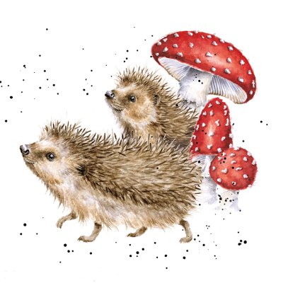 'A Prickly Adventure' hedgehog and mushroom artwork print