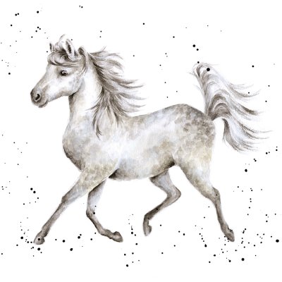 'Hot to Trot' grey horse artwork print