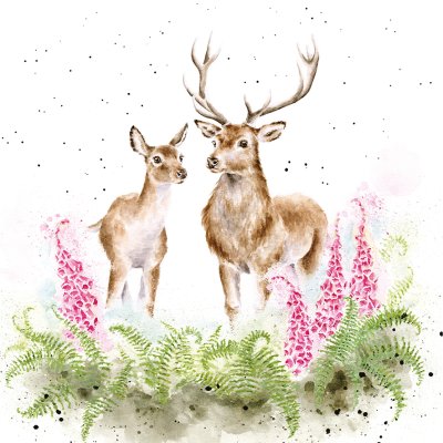 'Lord and Lady' stag and deer artwork print