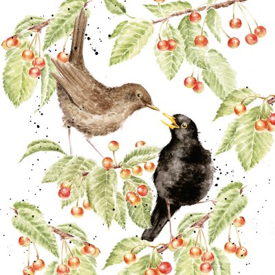 'The Cherry Tree' blackbird artwork print