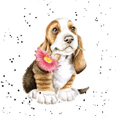 'Just for You' Basset Hound and flower artwork print