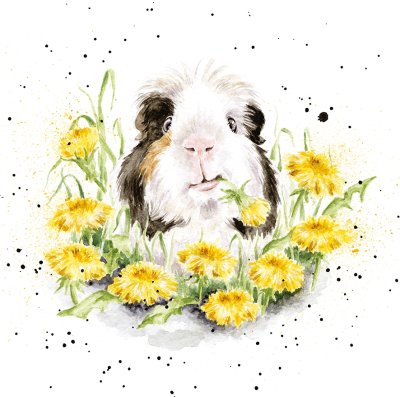 'Dandy Day' guinea pig artwork print