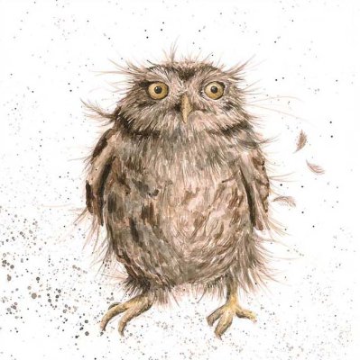 'What a Hoot' owl artwork print