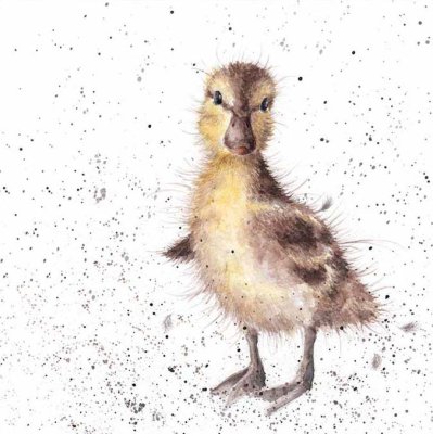 'Just Hatched' duckling artwork print