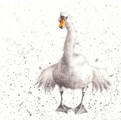 'Swan Fine Day' artwork print