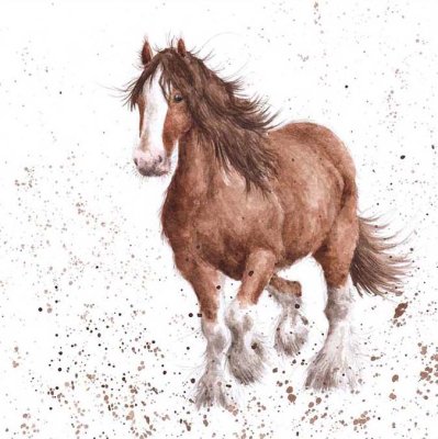 'Feathers' horse artwork print