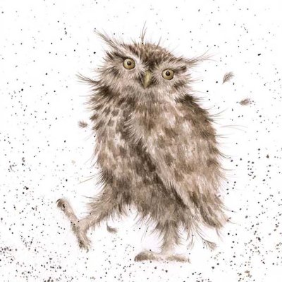 'Little Hoot' owl artwork print