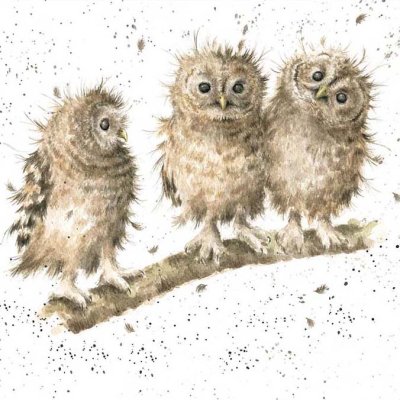 'You First!' owls on a branch artwork print