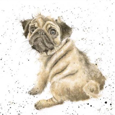 'Pug Love' dog artwork print