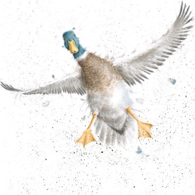 'The Crash Landing' duck artwork print