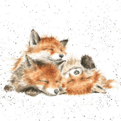 'The Afternoon Nap' fox artwork print