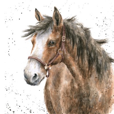 'Spirit' horse artwork print
