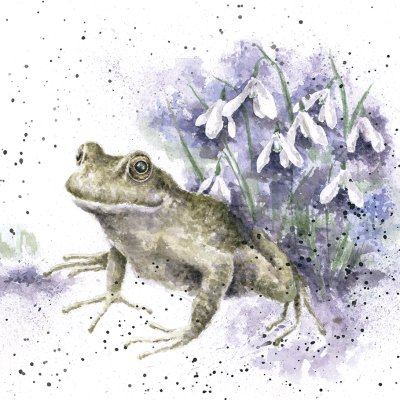 'The Happy Frog' frog artwork print