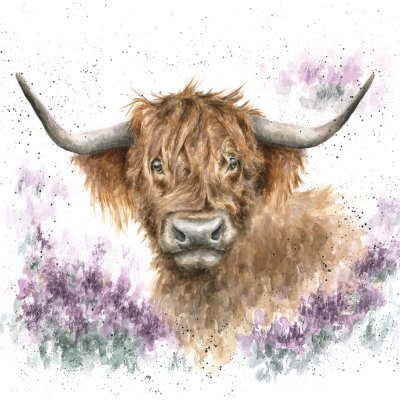 'Highland Heathers' Highland cow artwork print