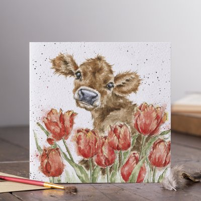 &#039;Bessie&#039; cow card