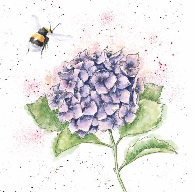 'The Busy Bee' bee and hydrangea artwork print