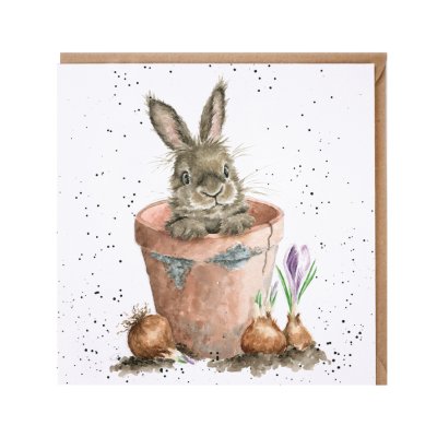 'The Flower Pot' rabbit card
