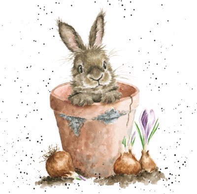 'The Flower Pot' rabbit in a plant pot artwork print