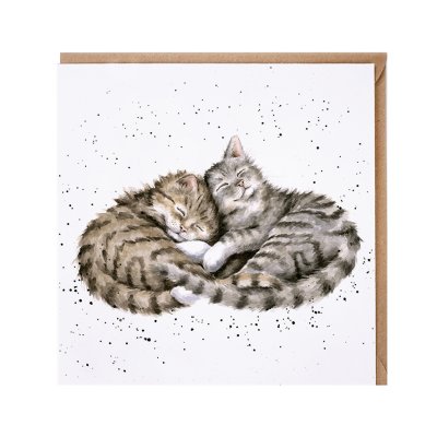 'Sweet Dreams' cat card