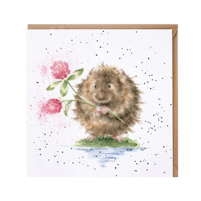 'By the Riverside' water vole card