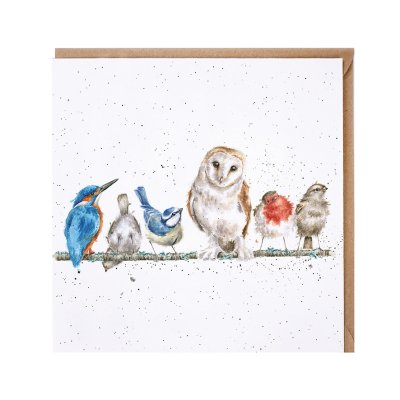 'The Variety of Life' bird card