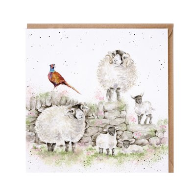 'Green Pastures' sheep card