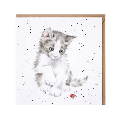 'Ladybird' cat card