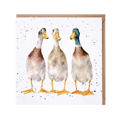 Illustrated duck card