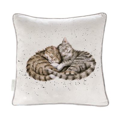 Cat cushion