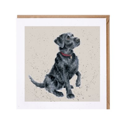 Black Labrador dog greeting card